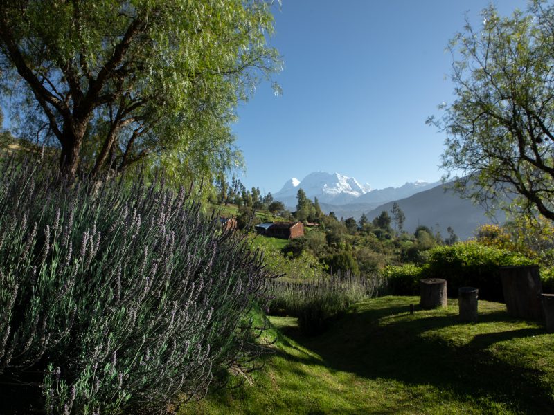 áreas comunes, paisajes (15)